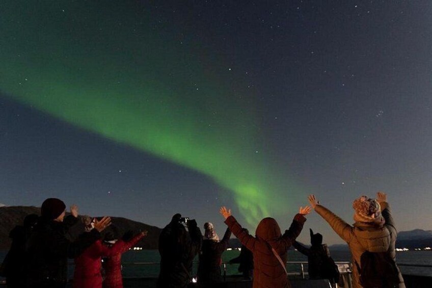 People observing the Northern Lights. 3
