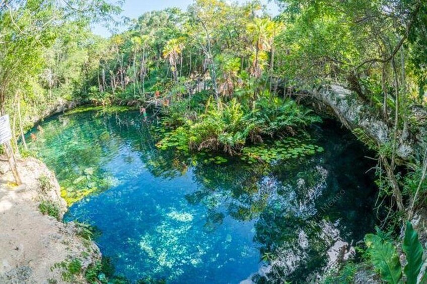 A clear blue water body surrounded by lush greenery and a rocky outcrop. 3