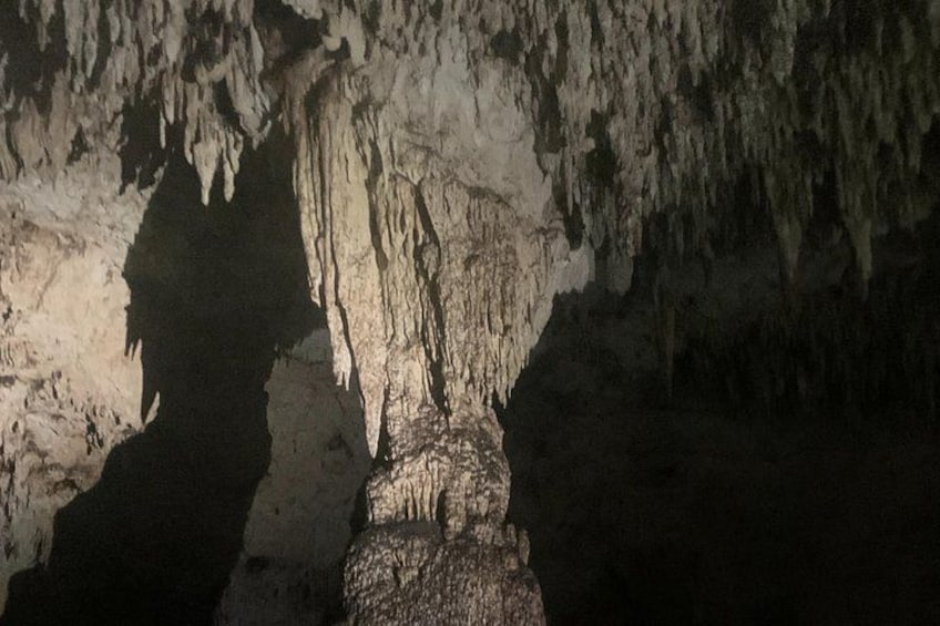 Dos Ojos cenote bat cave 3