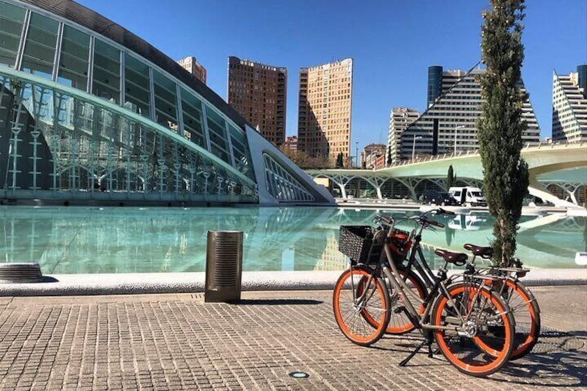 City of Art and Sciences. 5