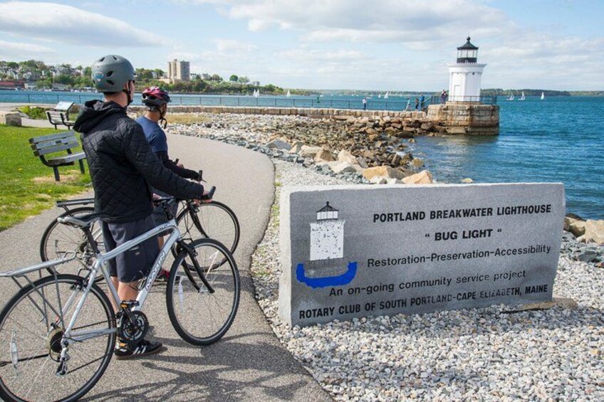 Bug Light 2