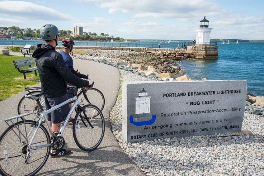 Bug Light 2