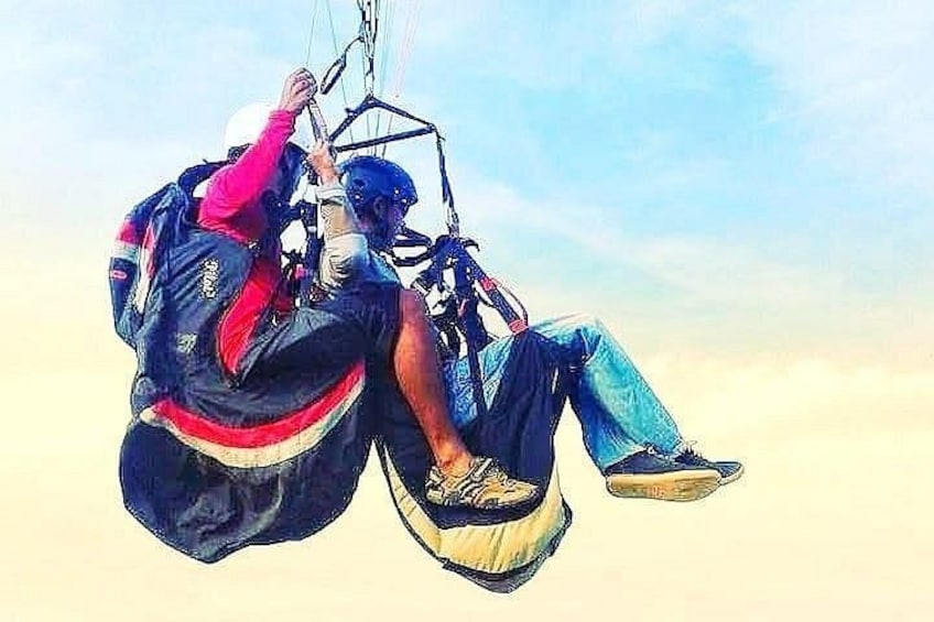 Enjoy the ride 1