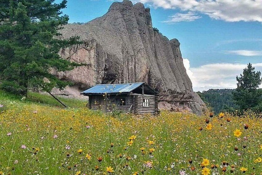 Une cabane en bois surmontée d’un toit en métal, entourée d’un champ de fleurs sauvages et avec, en arrière-plan, une grande formation rocheuse. 4