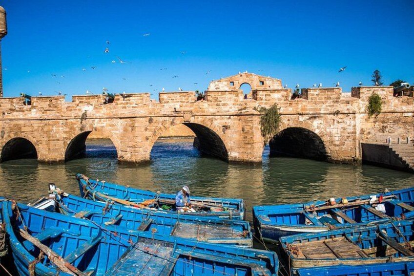 Marrakech: Shared group day trip to Essaouira 3