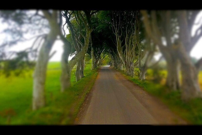 Game of Thrones
The Dark Hedges
"Kings Road" 3