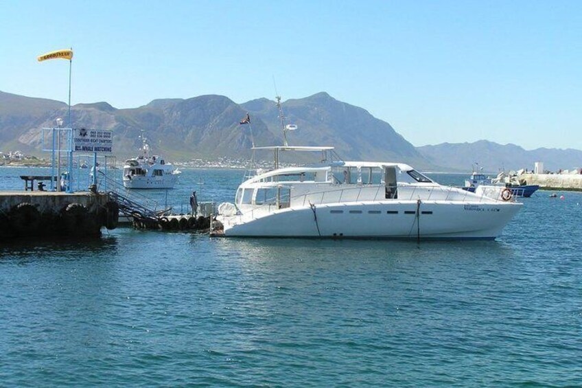Uno yacht bianco ormeggiato al molo, con montagne sullo sfondo. 5