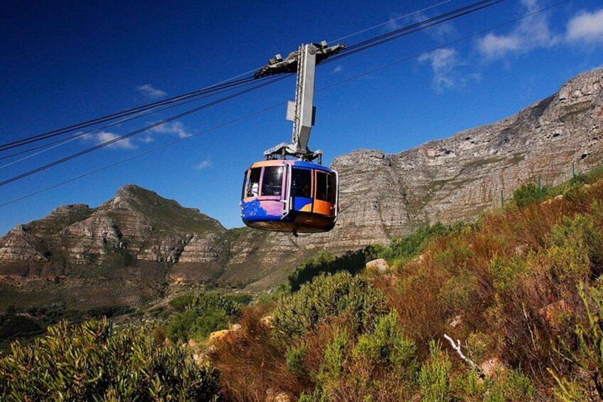 Table Mountain Small Group Guided Tour By Beyond Africa Safaris 4