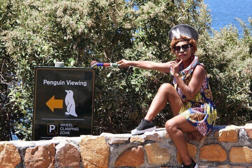 A person sitting on a stone wall with a sign for penguin viewing. 5