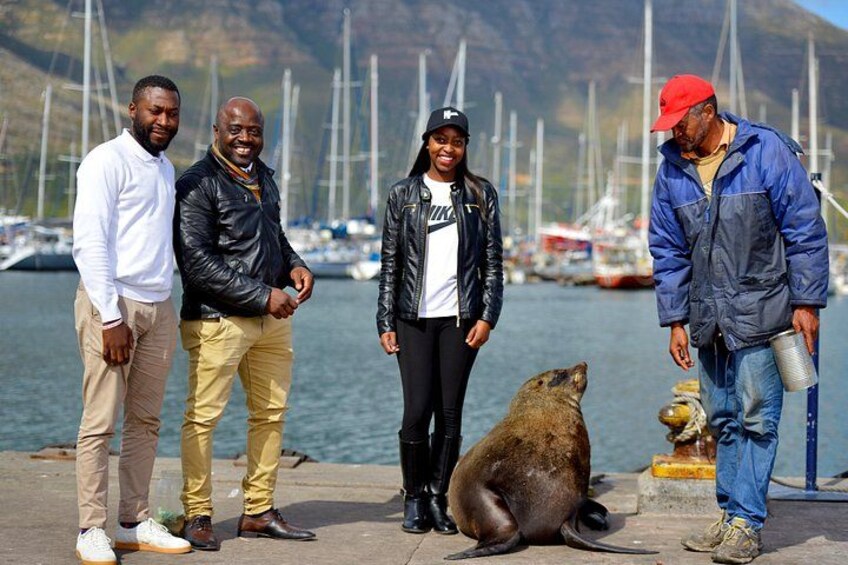 Seal Island encounters 3