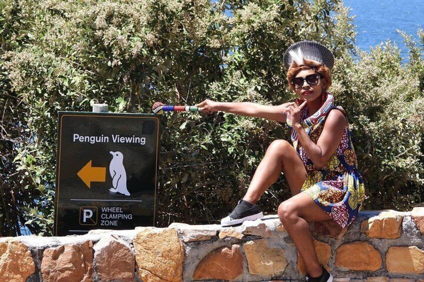 Boulders Beach Cape Town 5