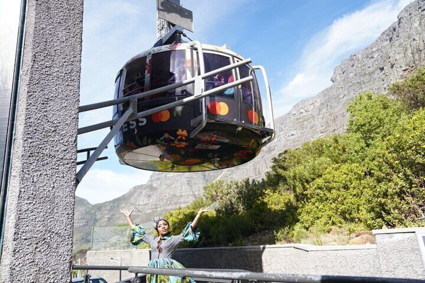 Table Mountain, Boulder's Penguins & Cape Point Private Tour from Cape Town