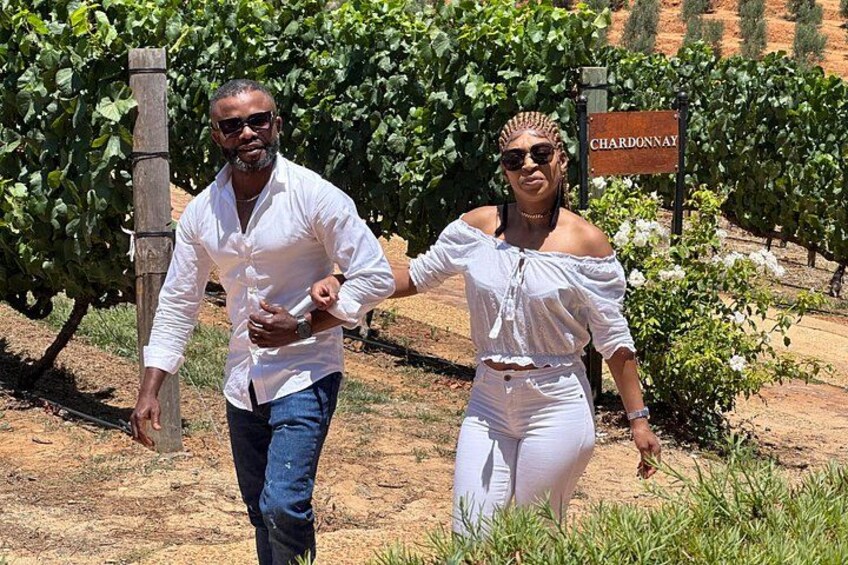 Cape Winelands Luxury Wine Tour Tastings, Lunch & Cheese Pairing 2