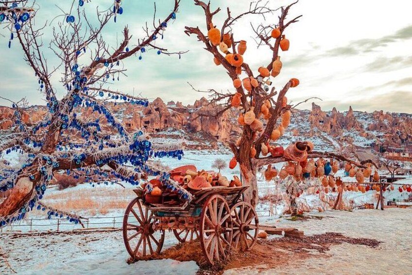 Old coach and evil eye tree 2