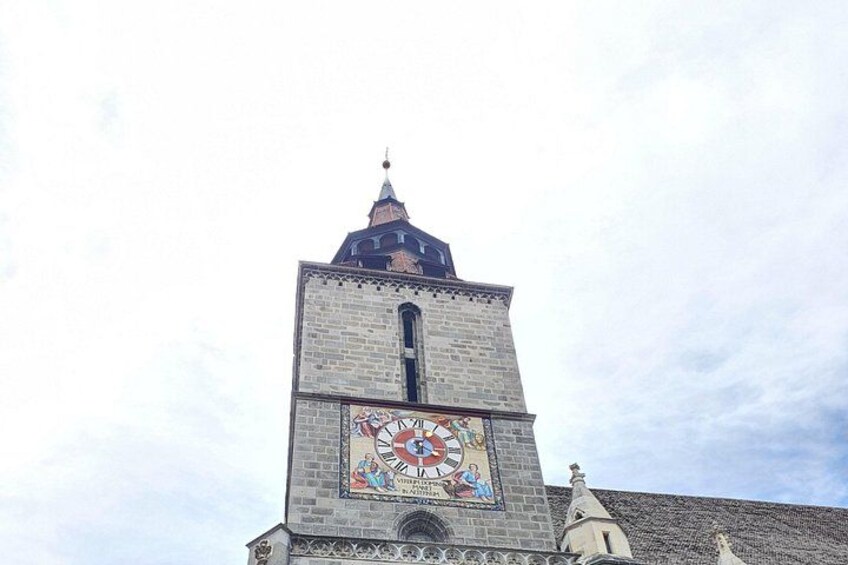 Bears Sanctuary, Dracula's Castle, Brasov Day Trip Private Tour from Bucharest 4