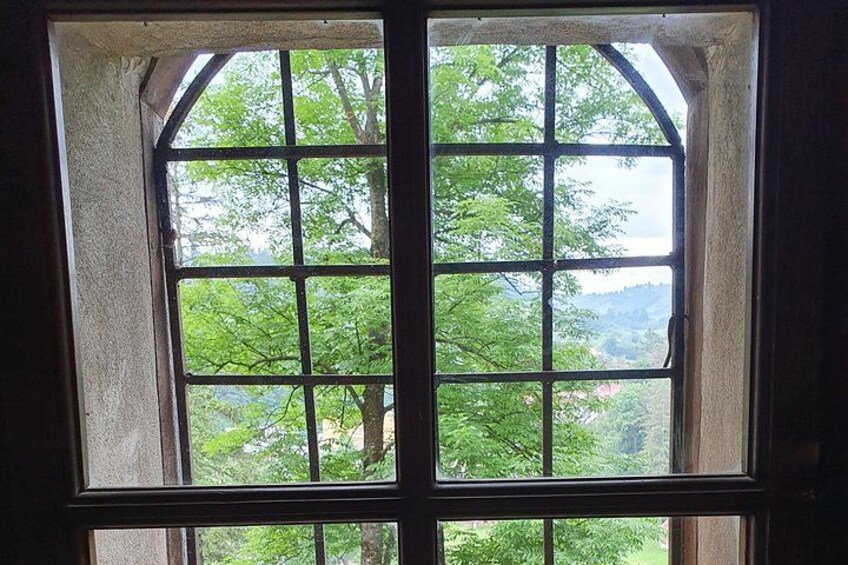 Bears Sanctuary, Dracula's Castle, Brasov Day Trip Private Tour from Bucharest 2