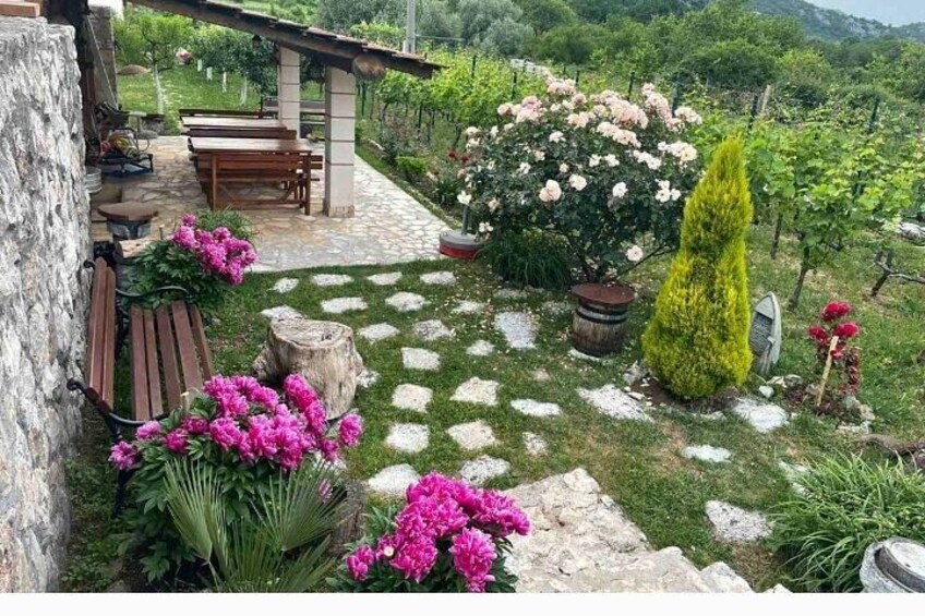 National park Skadar Lake