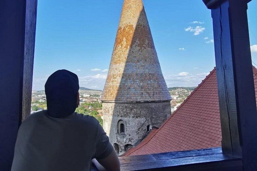 A person observing a tower with a conical roof, a red-roofed building, and a distant landscape. 3