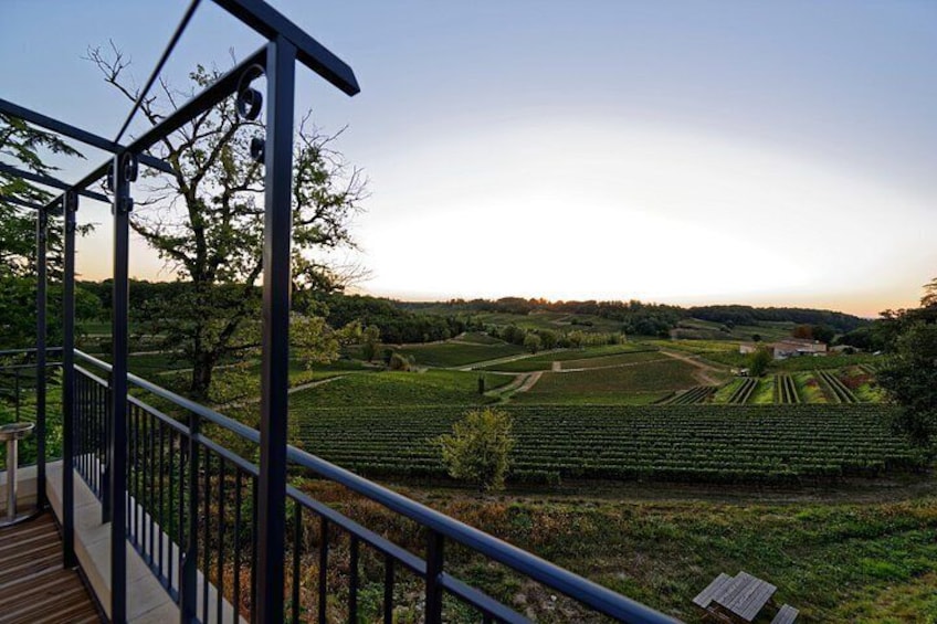 Saint-Emilion Grand Cru Classé: Picnic & Visit in English 2