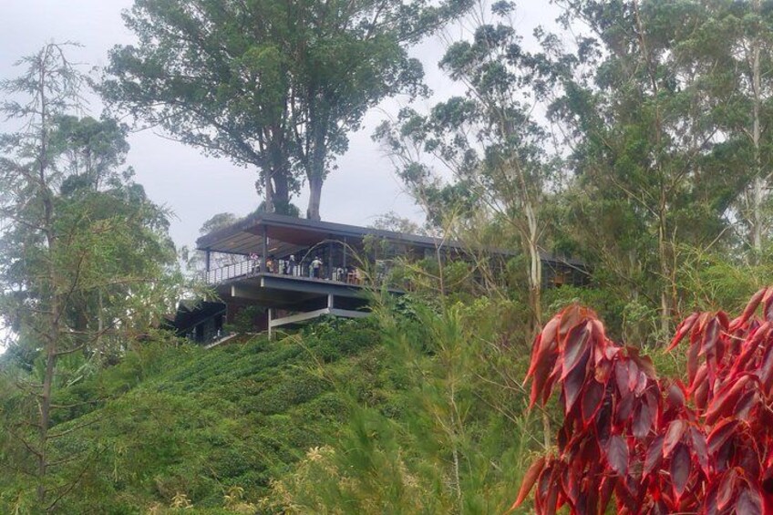Une cabane perchée dans un arbre, située sur une colline, et à laquelle on accède par un escalier. 3