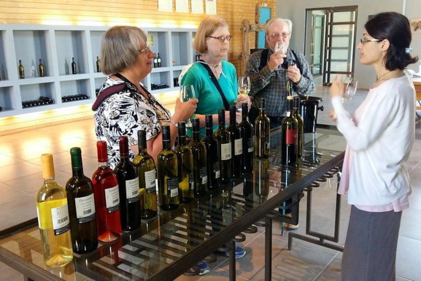 Winery in Nemea 3