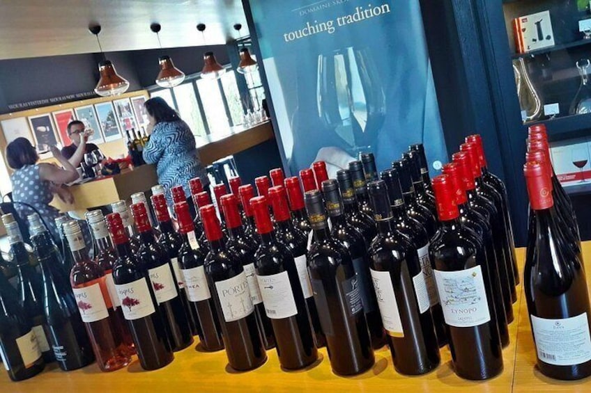 Tasting Wine 5