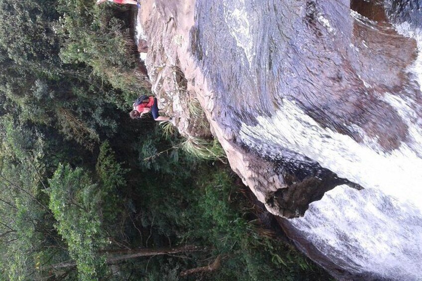 Una persona haciendo rappel por un risco rocoso rodeado de bosque denso. 4