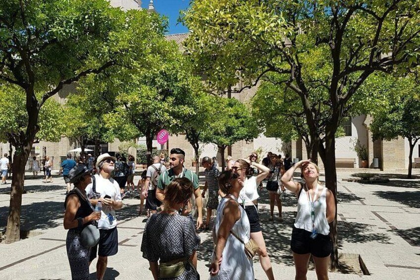 Guided Tour Sevilla Cathedral 2