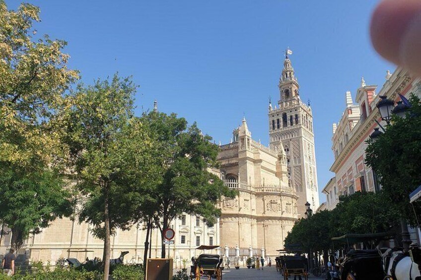Guided Tour Sevilla Cathedral 4