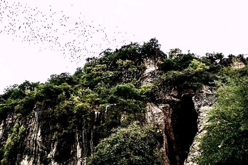 Bat cave 5