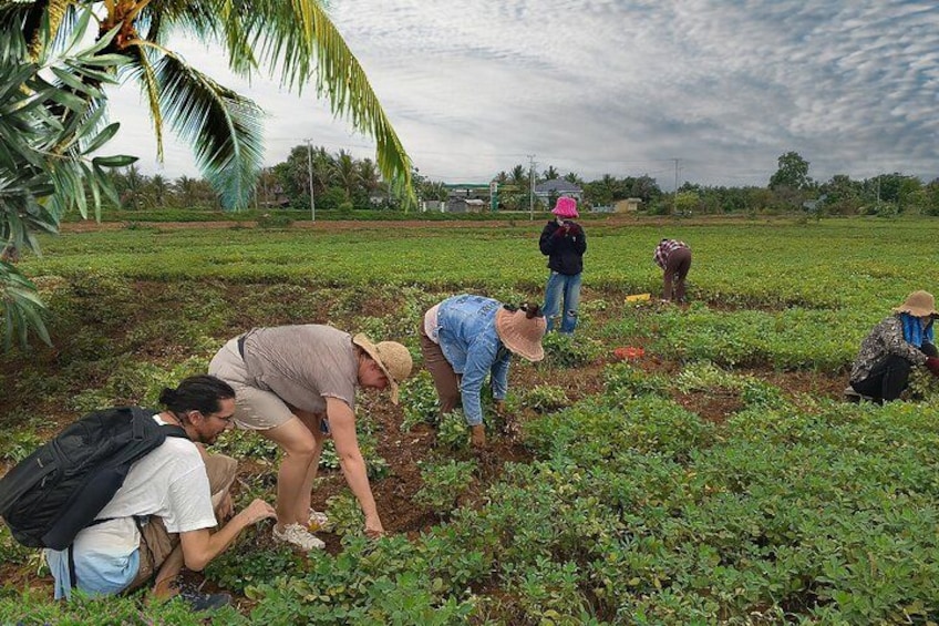 Mensen werken in een veld, mogelijk aan het planten of oogsten, met een palmboom en open velden op de achtergrond. 2