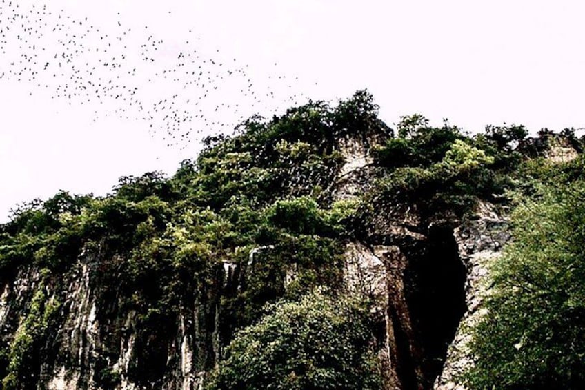 Bat cave 3