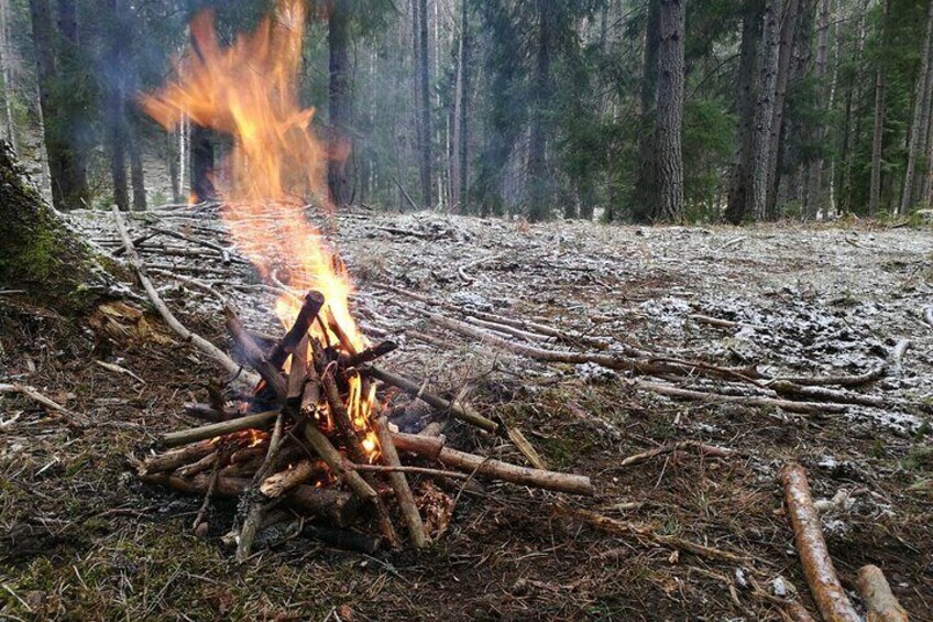 1-Day Small-Group Stockholm Nature Hiking