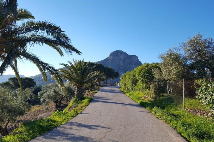 Wine & Tapas tour by electric bike (e-bike) including Ronda pickup (full day) 5