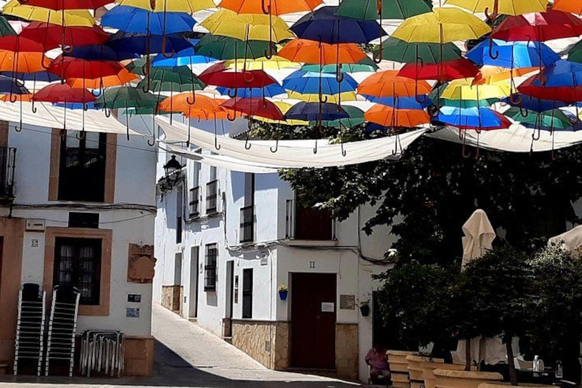 Wine & Tapas tour by electric bike (e-bike) including Ronda pickup (full day) 4