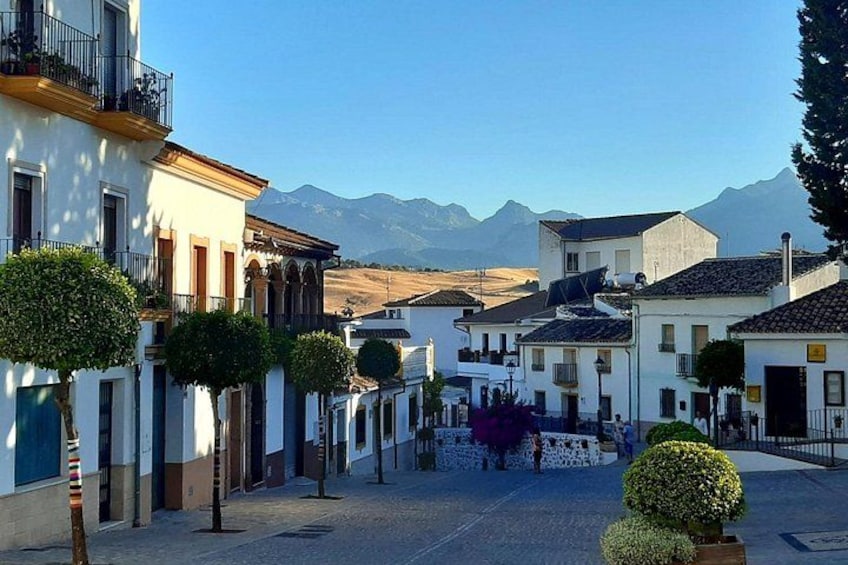 A cobblestone street lined with white buildings, a clear blue sky, and mountains in the background. 5