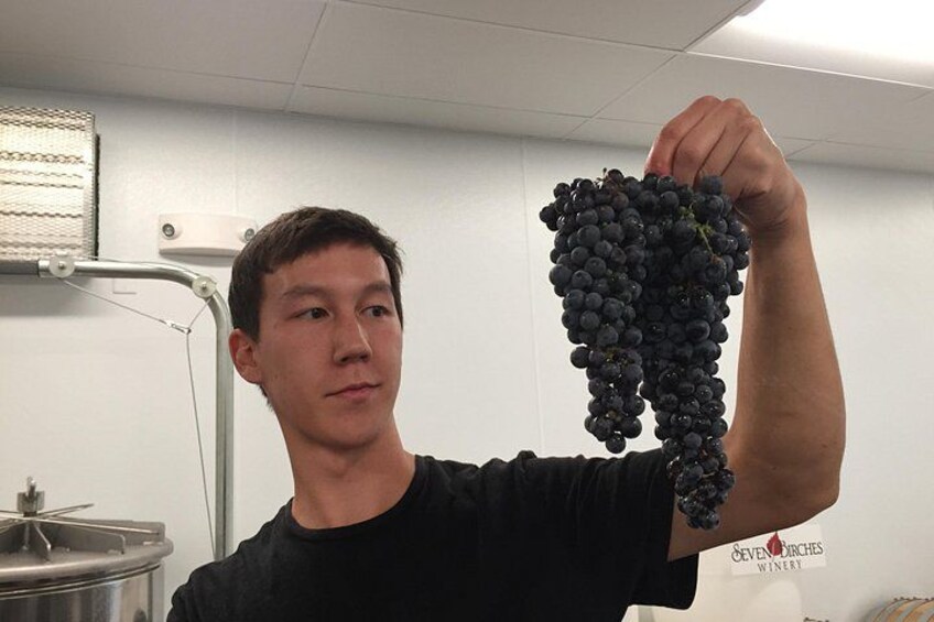 Made from whole fruits. 3