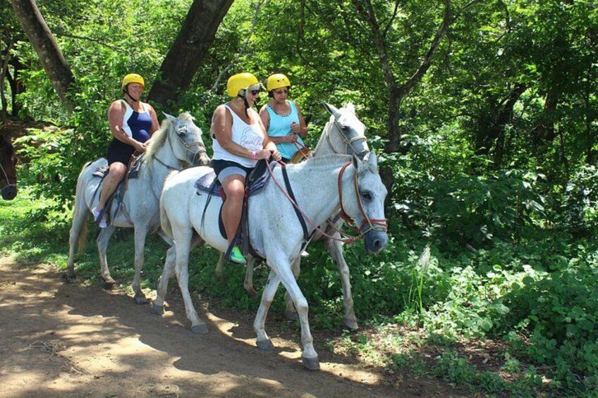 horseback 3