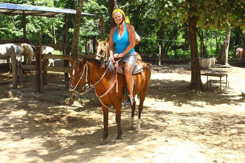 horseback 5