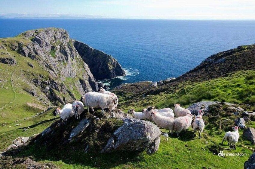 Ring of Kerry 2