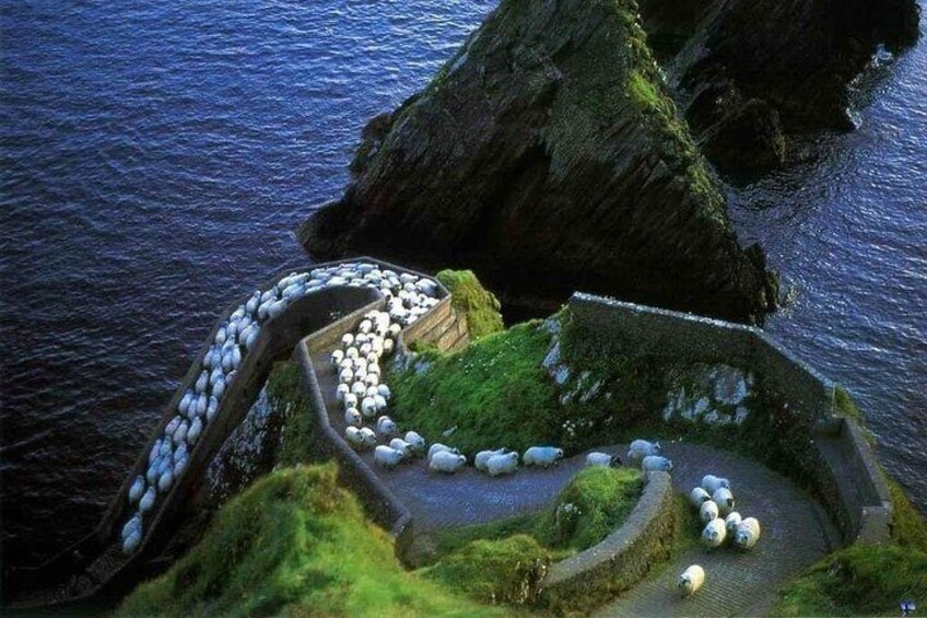 Dunquin Pier