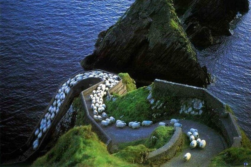 Dunquin Pier 2