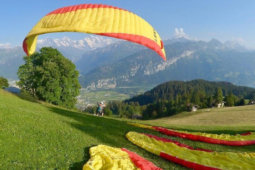 Tandem Paragliding Experience from Interlaken 2
