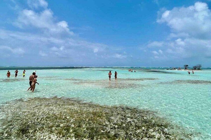 Een strand met helder turquoise water, mensen die wandelen, en wat begroeiing op de voorgrond. 4