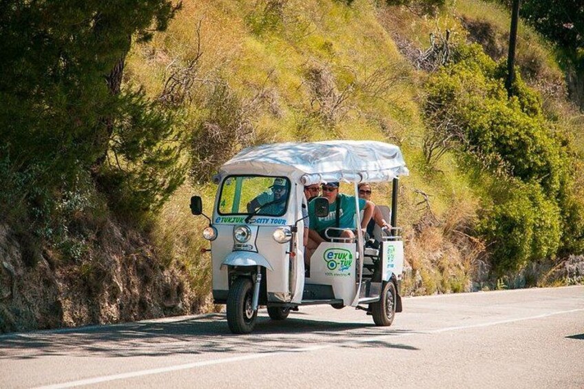 A small, open-top vehicle with a canopy, driving on a road surrounded by greenery. 4