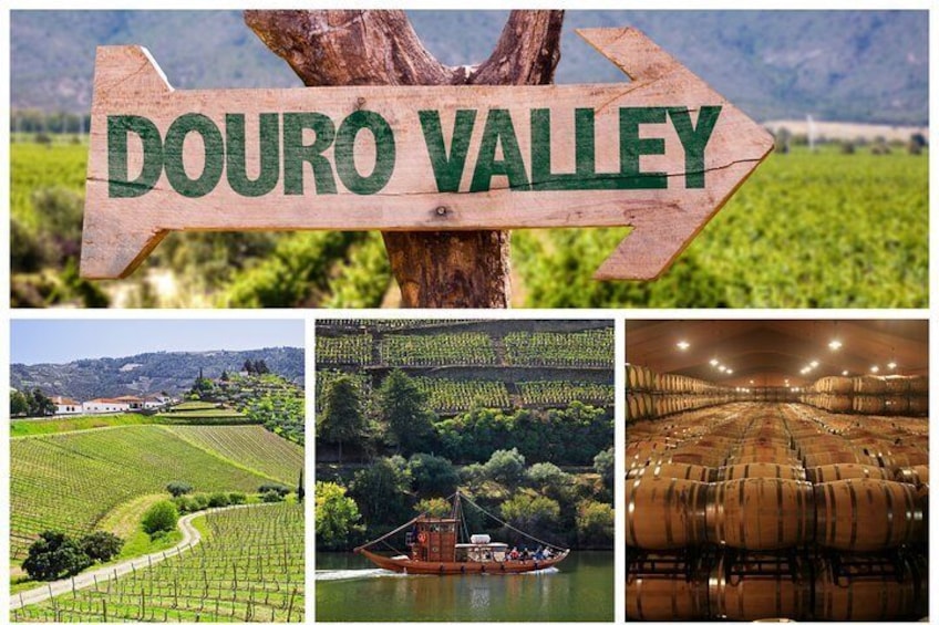 Douro Valley Tour: Wine Tasting, Cruise and Lunch from Porto 5