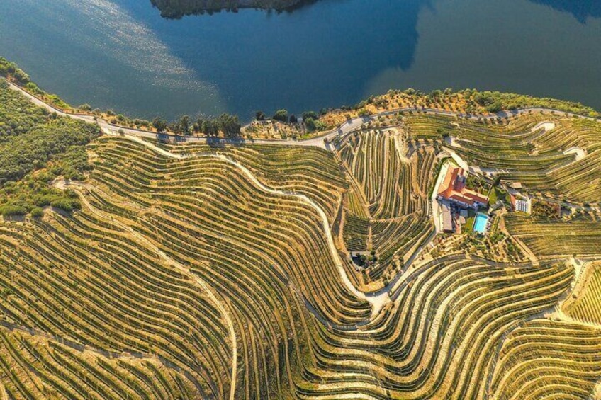 Terraced vineyards and a swimming pool. 2