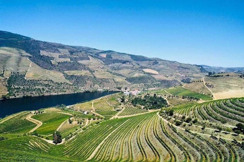 Terraced vineyards, a river, and rolling hills. 4