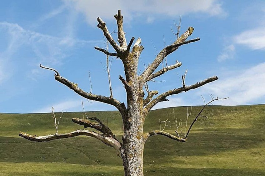 Brecon Beacons 2