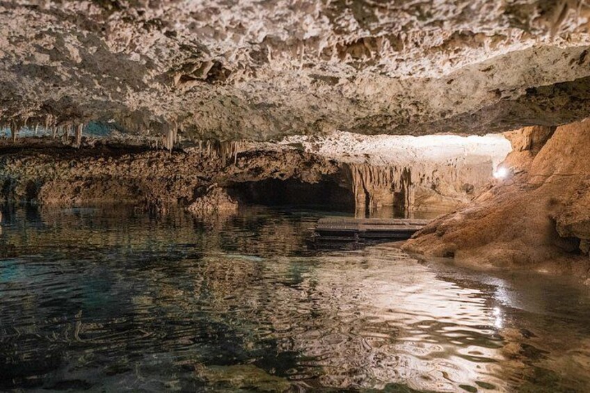 Half-Day Sea Turtle and Cenote Snorkeling Tour from Cancun & Riviera Maya 2